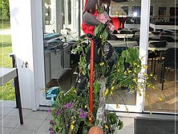 016 Bosseln 06.05.2017